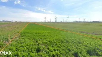 Expose Ortsrandlage 2 Grundstücke mit ~ 2 ha 6,5 € / m² FP
