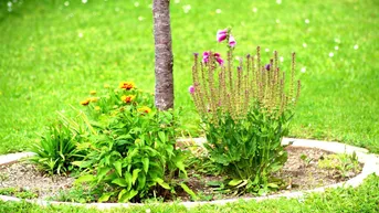 Expose Großer Garten und Blick auf den Anninger - Entzückende Doppelhaushälfte in ruhiger Siedlungslage in Traiskirchen!