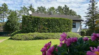 Expose Neuer Preis!! Gemütliches Einfamilienhaus in ruhiger Lage!