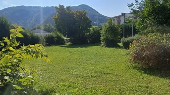 Expose GRUNDSTÜCK MIT MISCHBAUWIDMUNG IN TERNBERG ZU KAUFEN