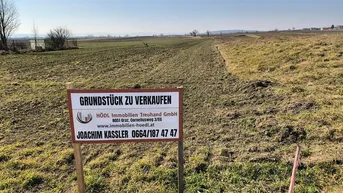 Expose Baugrundstück in Toplage – 1.000 m² in Eisenstadt (Rudolf von Eichtalstraße)