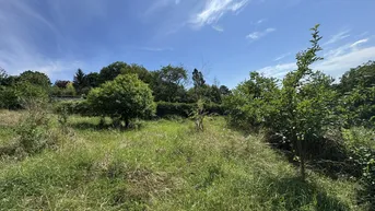 Expose Seltenes Bauträgergrundstück mit Bestandshaus – 4.356 m², 4–5 Bauparzellen möglich, Klosterneuburg