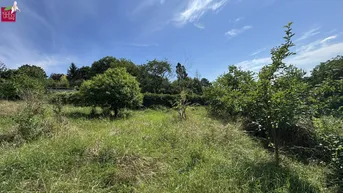 Expose Seltenes Bauträgergrundstück mit Bestandshaus – 4.356 m², 4–5 Bauparzellen möglich, Klosterneuburg
