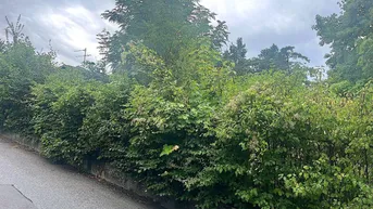 Expose Baugrund in Klosterneuburg – Weidling 1.793 m² Grundstücksfläche | Altbestand vorhanden | teilbar !!