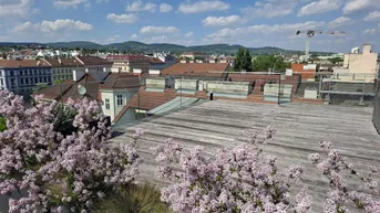 Expose Einzigartige Dachgeschoss-Maisonette mit Weitblick – Wohnen über den Dächern Wiens