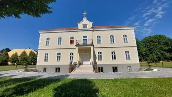 Expose Stilvolle 4-Zimmerwohnung in historischem Klostergemäuer an der Maurer Lange Gasse