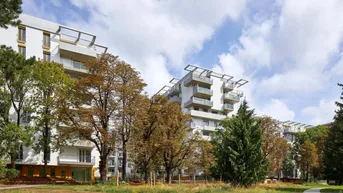Expose THEOs – Urban leben. Grün genießen. Zuhause ankommen.