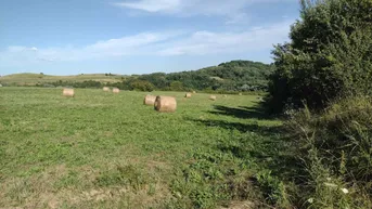 Expose Kroatien: Landwirtschaftliches Anwesen in herrlicher Lage