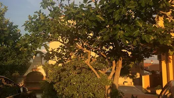 Expose Kroatien / Insel Rab: Apartment Haus in gesuchter Lage, Meerblick, 5 Einheiten