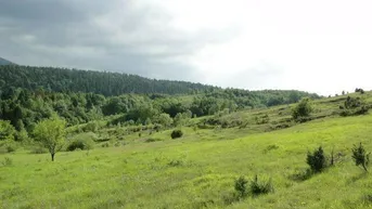 Expose Kroatien Küstenregion Lika-Senj: Einzigartiges Traumanwesen in absoluter Naturlage nur 60 Minuten vom Meer