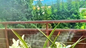 Expose 8051 Graz: Traumhafte Fernsicht von der südseitigen überdachten Loggia, Eigenes Gartenabteil