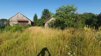 Expose 3701 Gr.Weikersdorf-Nähe - großer Baugrund !