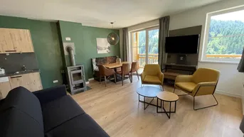 Expose Appartement für touristische Vermietung in Viehhofen