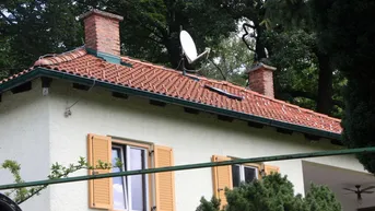 Dach des Hauses mit roten Ziegeln, Schornsteinen und Satellitenschüssel vor grünen Bäumen.