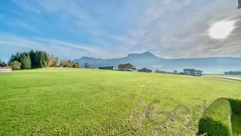 Weitläufige grüne Landschaft mit Bergblick und vereinzelten Häusern unter blauem Himmel.
