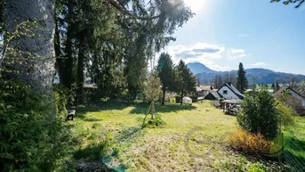 Expose Kleines Haus auf großem Grund mit viel Potential!