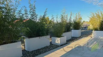 Expose Sanierte 3 Zimmer Wohnung mit Dachterrasse im Herzen von Seekirchen