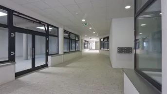 Expose PÖGGSTALL VI/1, Geschäftsräumlichkeit, EG Geschäft 1, 1000/00010680/00002301
