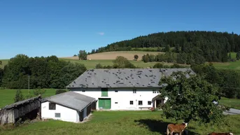 Expose Traditionelles Sacherl im Mühlviertel sucht Liebhaber mit handwerklichem Geschick