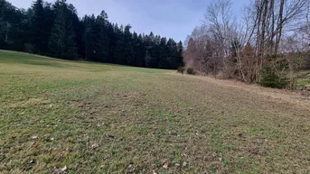 Expose Landwirtschaftliche Nutzfläche - mit kleinem Waldanteil