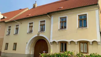 Expose EIN WINZERHOF AUS MITTE DES 19. JAHRHUNDERTS 