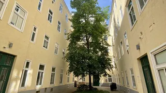 Expose Kleine Bürofläche in sehr gutem Zustand - Toplage Mariahilfer Straße