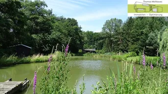 Expose WERTANLAGE: FISCHTEICH/QUELLWASSER mit 300 KARPFEN im PARKGARTEN samt HOLZHÜTTEN!