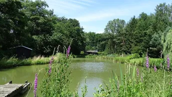 Expose WERTANLAGE: FISCHTEICH/QUELLWASSER mit 300 KARPFEN im PARKGARTEN samt HOLZHÜTTEN!