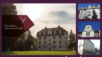 Expose PALAIS ZOLLHAUS zur Revitalisierung