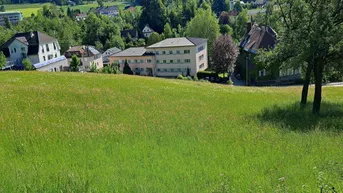 Expose Bad Schallerbach: NEUER PREIS Großflächiges Baugrundstück (6395m²) in Zentrumslage zu verkaufen!