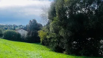 Expose Naturnahe Grünlage – Baugrundstück mit Wohlfühlfaktor in Eidenberg