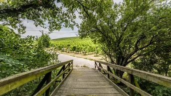 Expose Traumhaftes Baugrundstück am Nussberg mit Baubewilligung und Blick auf die Weinberge