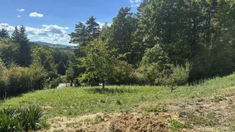 Weitläufige grüne Landschaft mit Bäumen und Hügeln unter einem klaren blauen Himmel.