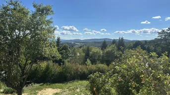 Weitläufiger Blick über grüne Hügel und Wälder unter einem strahlend blauen Himmel.