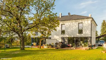Modernes Einfamilienhaus mit großem Garten, sonniger Terrasse und altem Obstbaum.