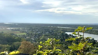 Expose Donaublick traumhaft - Einfamilienhaus mit fantastischen Ausblick über die Donauauen und in das Weinviertel!