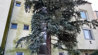 Expose Bezugsfertige 3 Zimmerwohnung mit Balkon