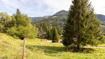 Expose Ankommen und Ausspannen auf 950 m² Naturglück