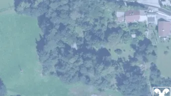 Expose Baugrundstück mit Altbestand samt Wald in Mittersill