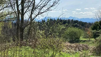 Expose Baugrund Bergblick