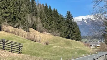Expose Landwirtschaftliches Grundstück