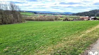 Expose Landwirtschaftliche Nutzfläche in Oberholz