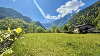 Expose Baugrund mit Bergpanorama