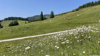 Expose Welser Hütte auf der Postalm