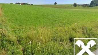 Expose Attraktives Grundstück in sonniger Lage