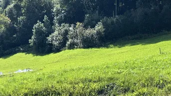 Expose Baugrundstück in Sonnenlage von Taxenbach