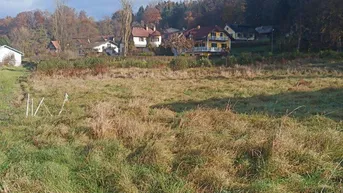 Expose Zentral liegendes, ebenes, sonniges Grundstück in Ragnitz