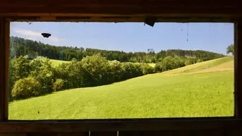 Expose Vierkanthof mit liebevollen großen Garten in Ruhelage