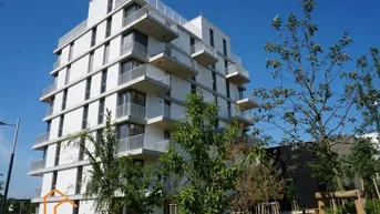 Expose Wohnen Am Rosenhügel - Baujahr 2023 - 2- Zimmer Wohnung mit Balkon! Barrierefrei! Top Anlage!