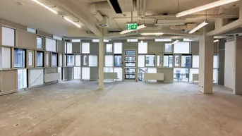 Expose 600 m2 Büro + 290 m2 Produktion Lager in 1140 Wien